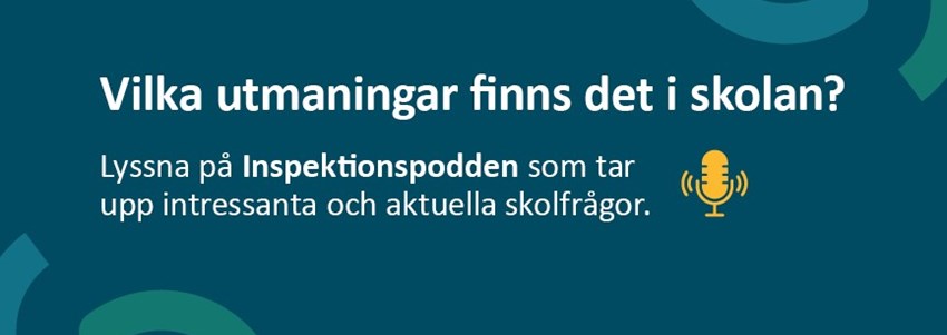 inspektionspodden